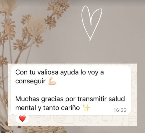 Captura de pantalla 2026 02 18 113303