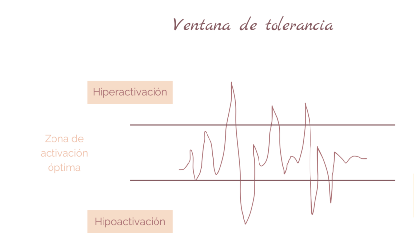 ventana de tolerancia para la regulación en trauma